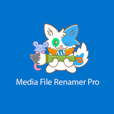 Media File Renamer Pro